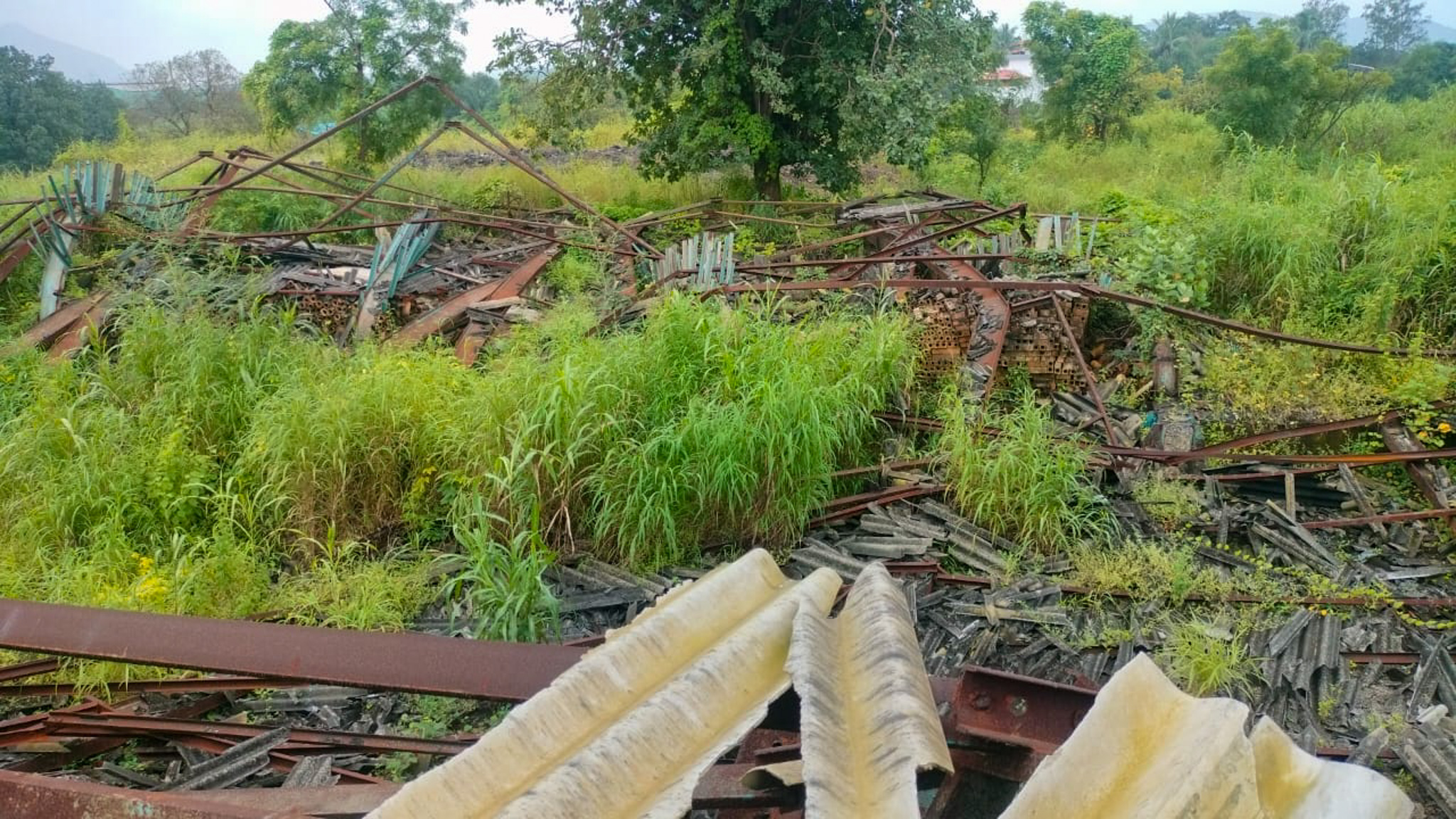 Industrial Plot with Factory Building for Sale in Biloshi, Vada — photo 8