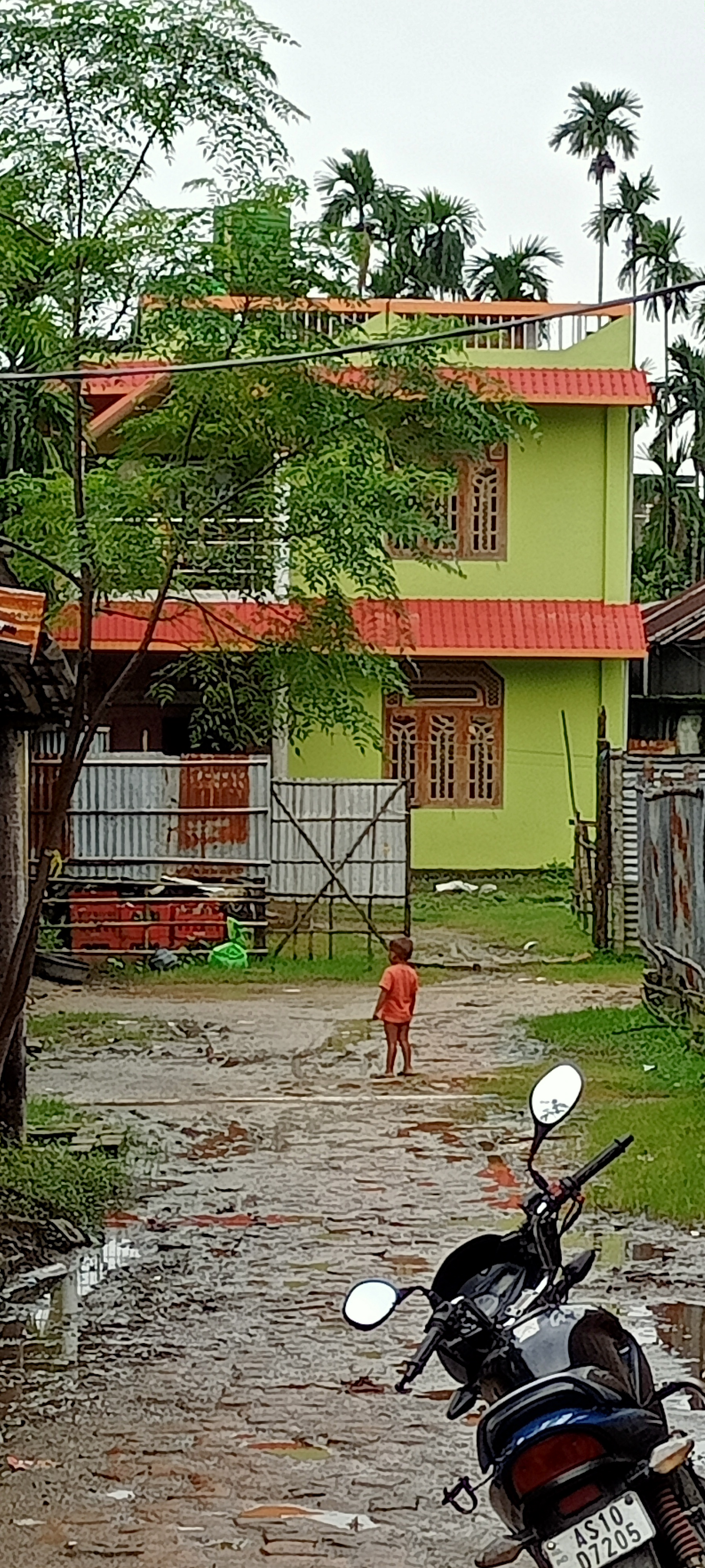 others for Sale in Kanisail Pt 1 — photo 1