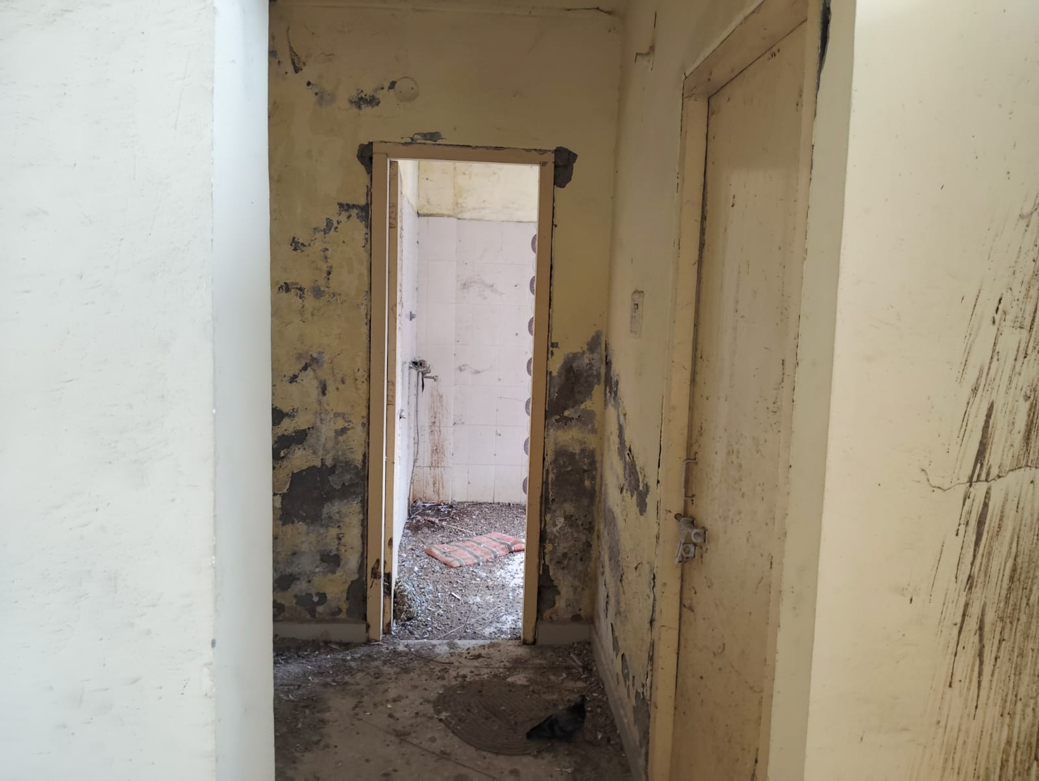 Flat for Sale in SHRI GURU ARJAN DEV NAGAR KARTARPUR DISTRICT JALANDHAR, Kartarpur — photo 20