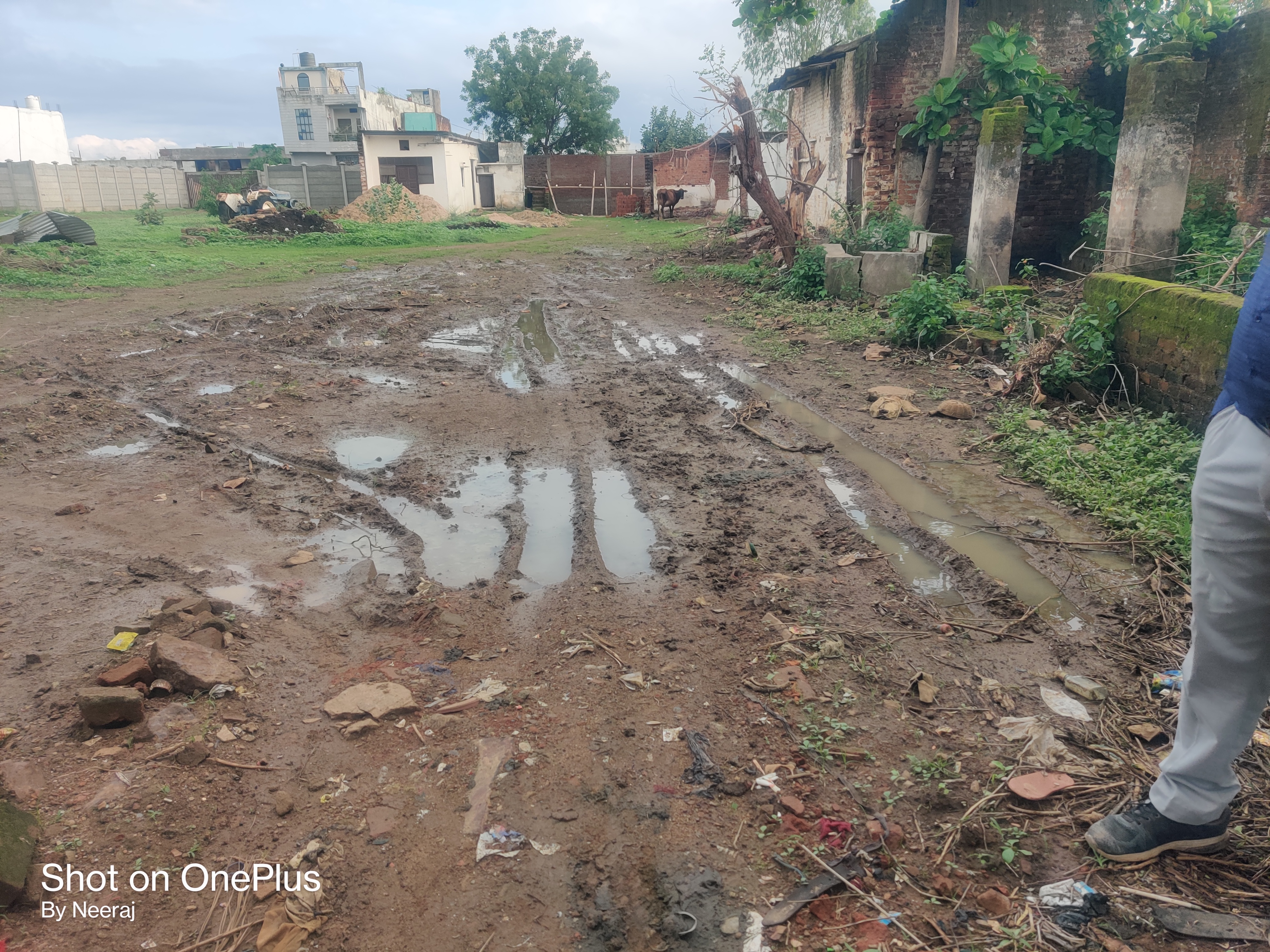 Plot for Sale in Murwara, Katni, Integrated Industrial Development Centre Lamtara — photo 5
