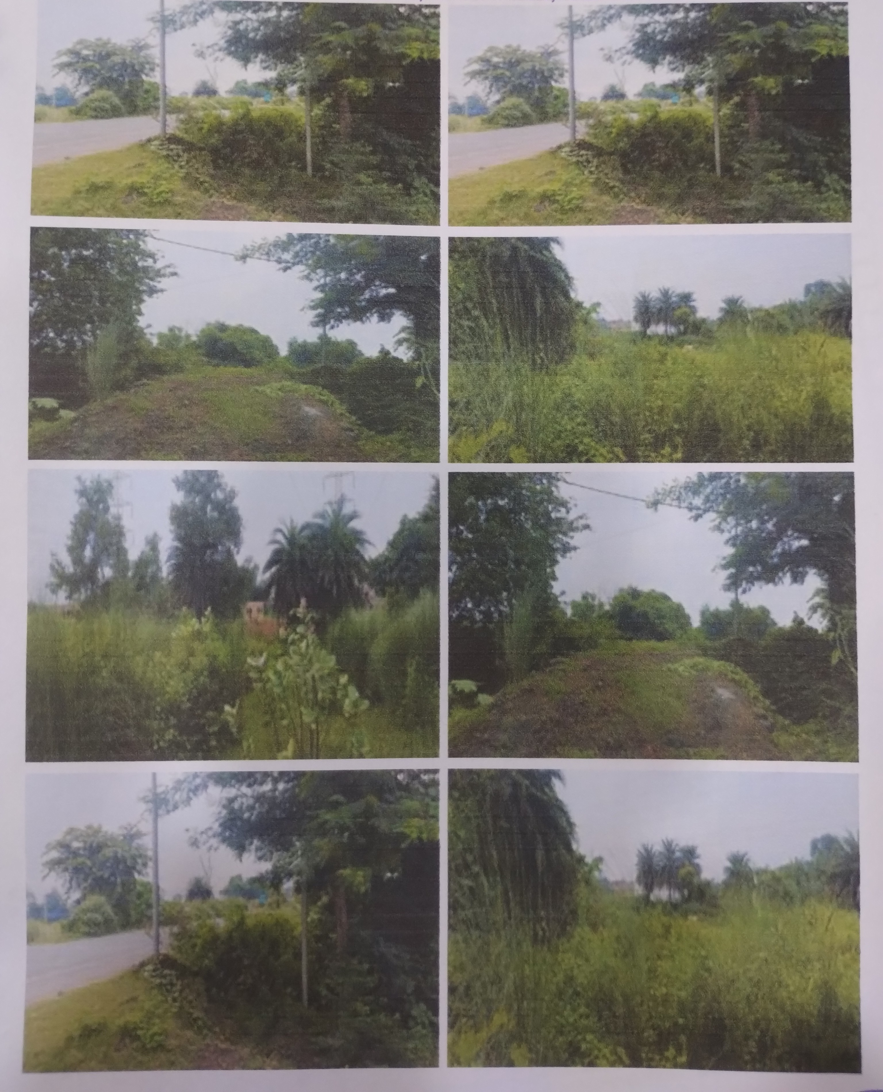 Plot for Sale in Raniganj, Asansol — photo 3