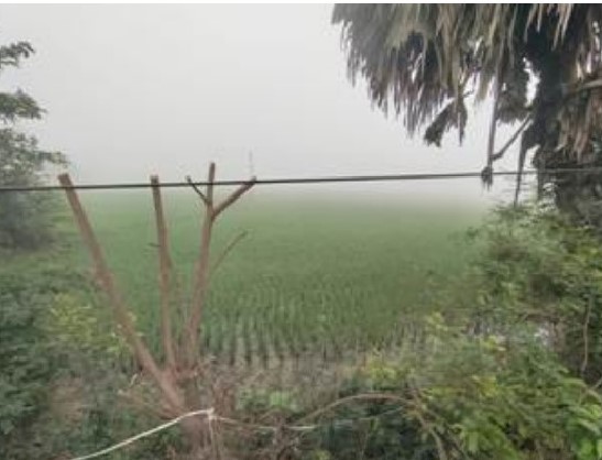 Land with Godown for Sale in Dhulia Gram Panchayat, Barjora — photo 4