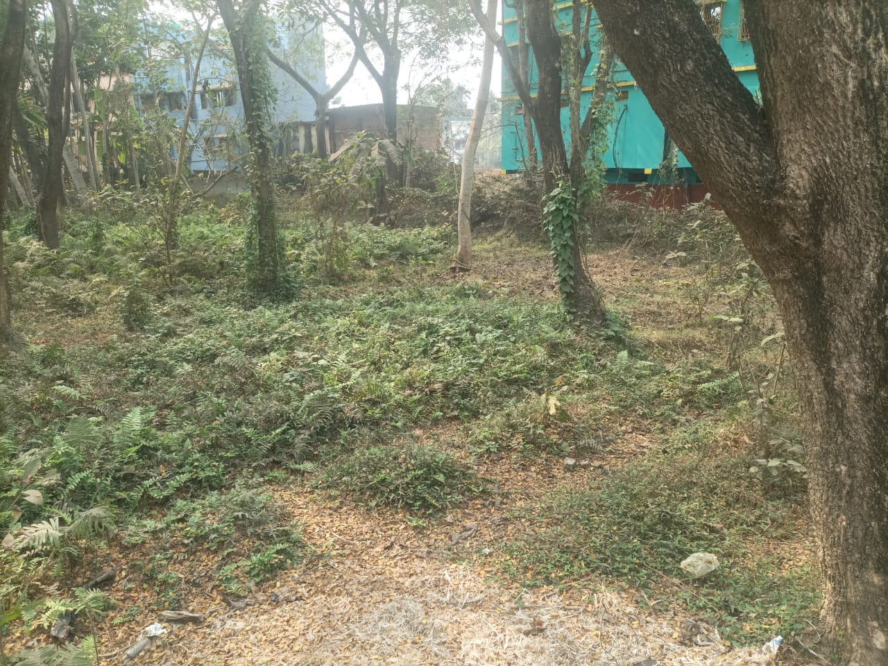 Plot for Sale in Property is situated at Mouja – Khar Radhakrishnapur, PS – Daspur, Dist: Paschim Midnapore., Ghatal — photo 4