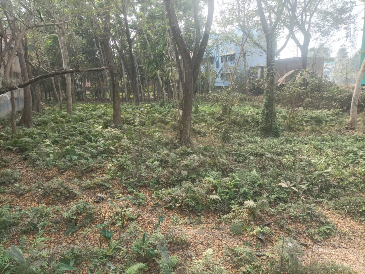 Plot for Sale in Property is situated at Mouja – Khar Radhakrishnapur, PS – Daspur, Dist: Paschim Midnapore., Ghatal — photo 6