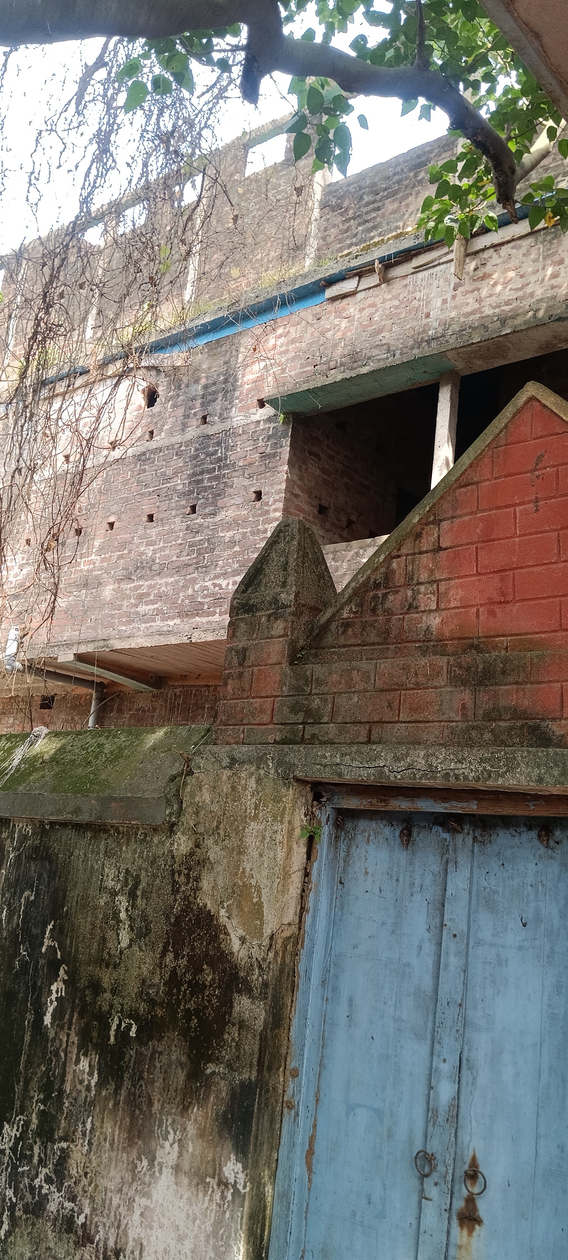 Individual House for Sale in Dhatrigram — photo 3