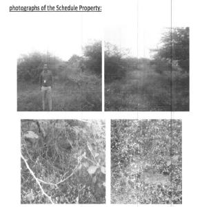 Plot for Sale in Ponnekallu — photo 1
