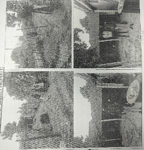 Individual House for Sale in Bhimadole — photo 1