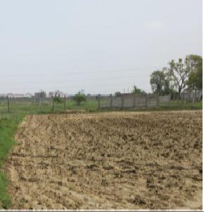 Plot for Sale in Sarai Asar Pargana and District Etawah, Etawah — photo 1