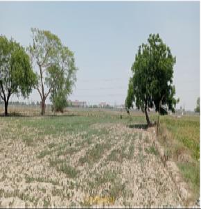 Plot for Sale in Sarai Asar Pargana and District Etawah, Etawah — photo 1