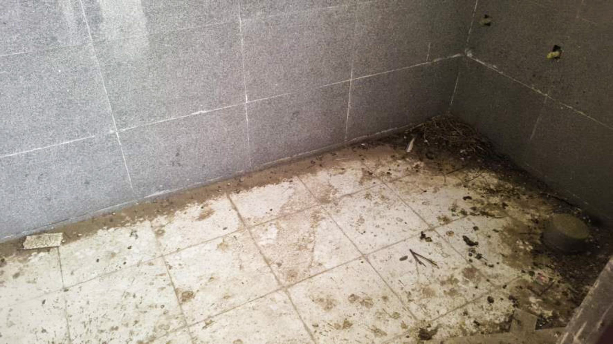 Flat for Sale in JAIPUR, Jaipur — photo 5