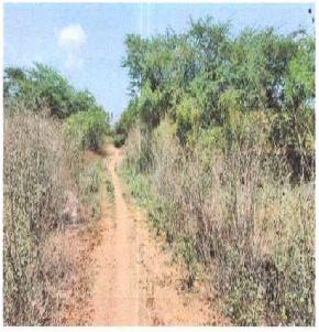 VACANT LAND for Sale in Namakkal — photo 1
