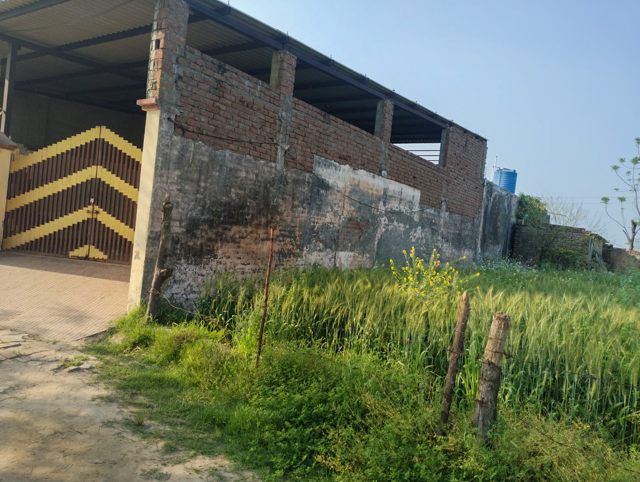 Individual House for Sale in Village Panjdhera, Tehsil Phillaur,Distt. Jalandhar, Phillaur — photo 21