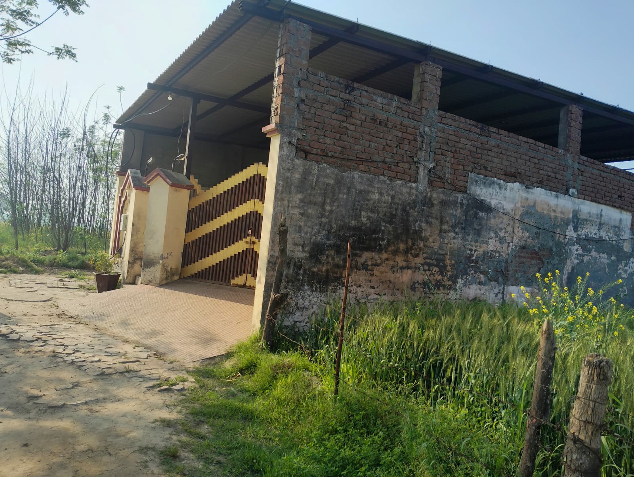 Individual House for Sale in Village Panjdhera, Tehsil Phillaur,Distt. Jalandhar, Phillaur — photo 20