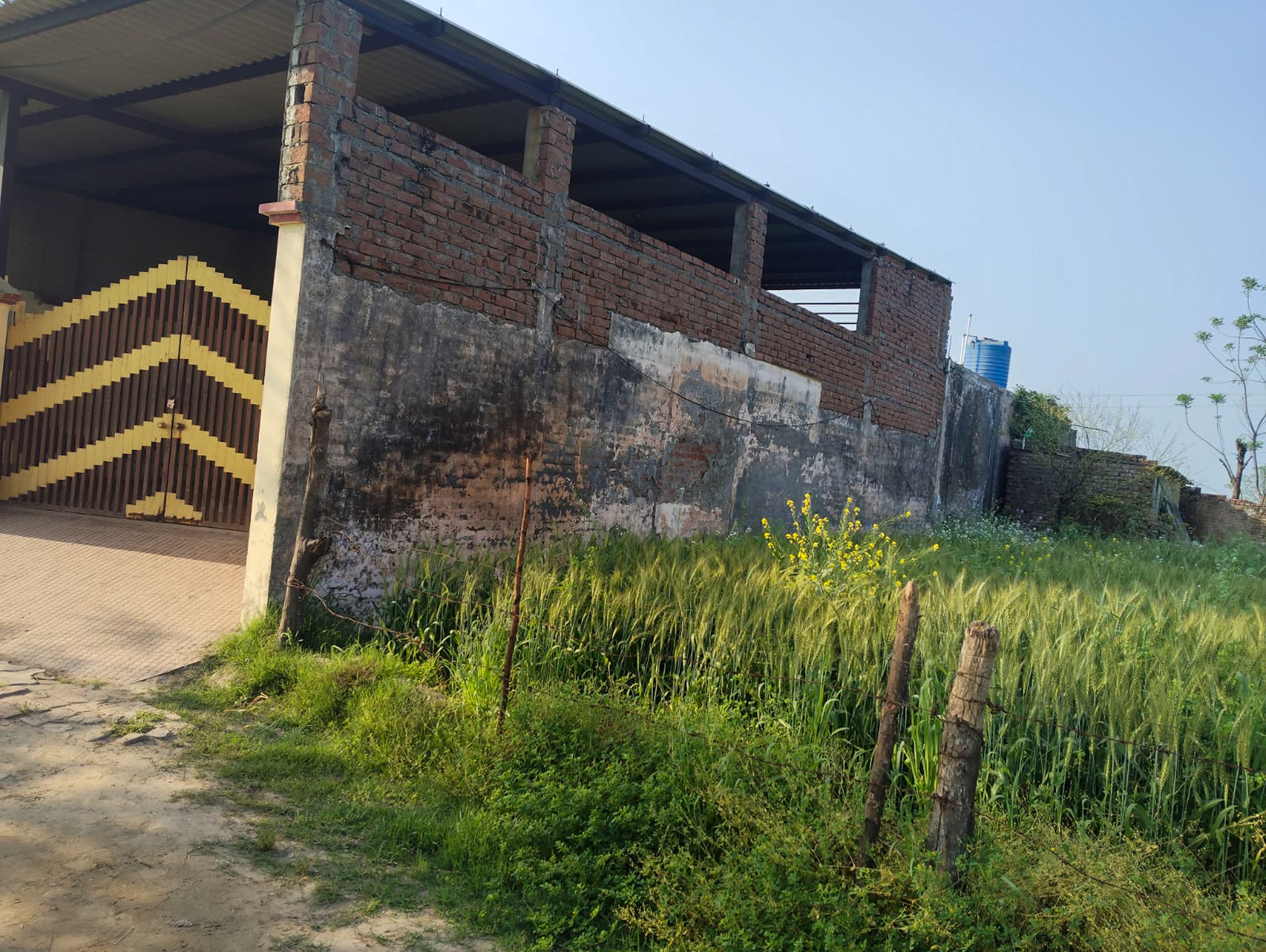 Individual House for Sale in Village Panjdhera, Tehsil Phillaur,Distt. Jalandhar, Phillaur — photo 23