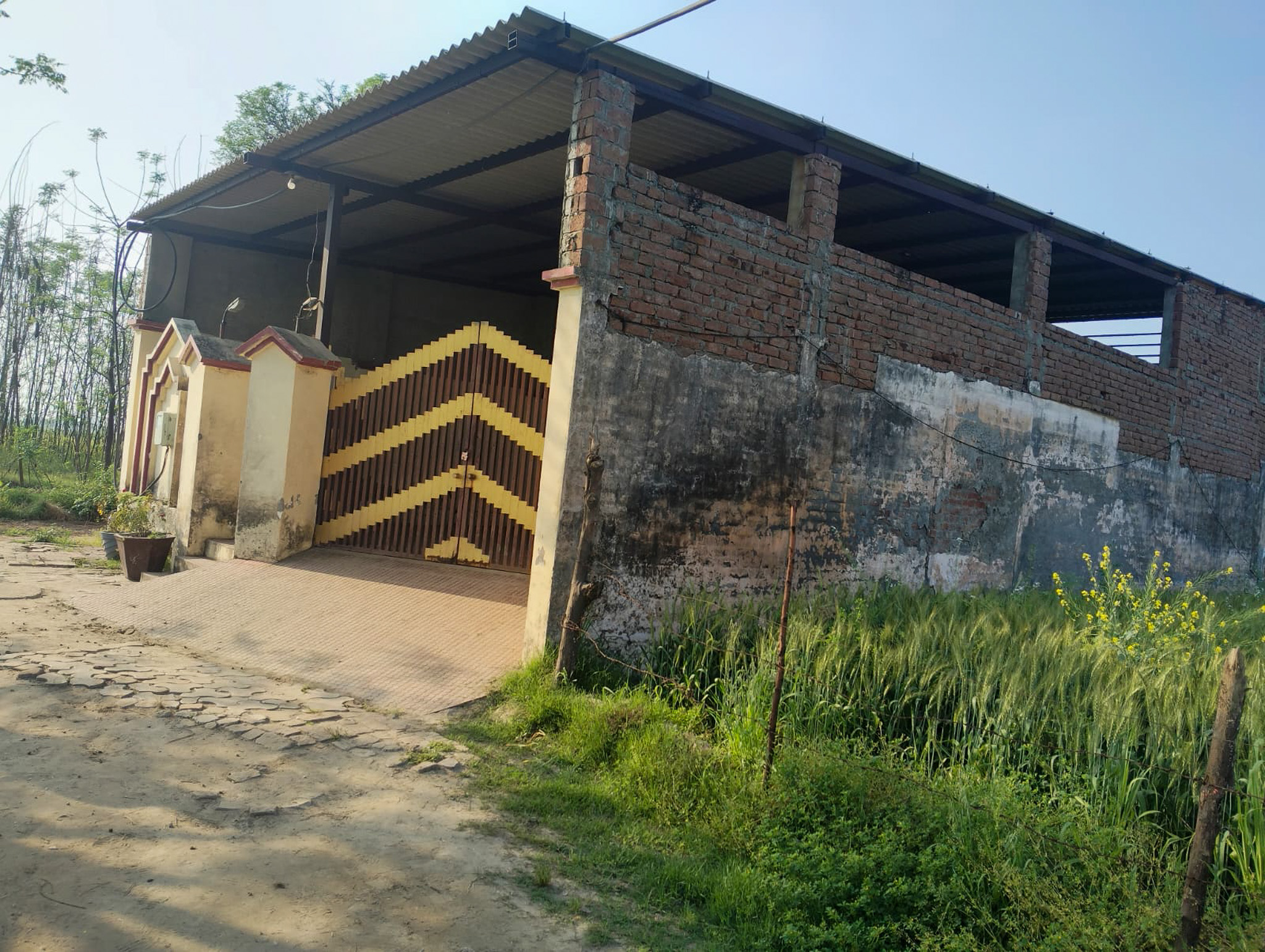 Individual House for Sale in Village Panjdhera, Tehsil Phillaur,Distt. Jalandhar, Phillaur — photo 22