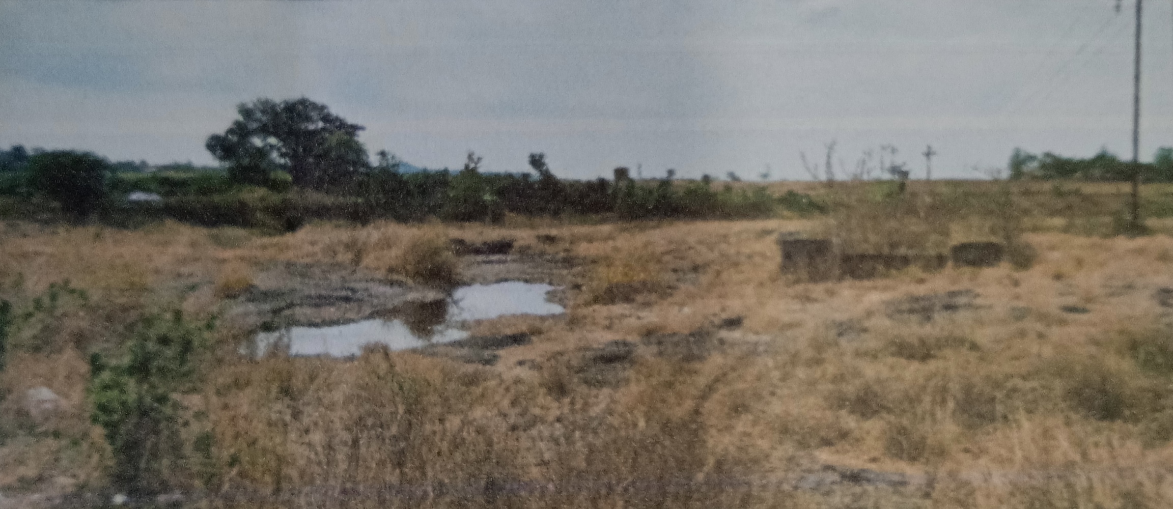 Plot for Sale in Asangaon — photo 2