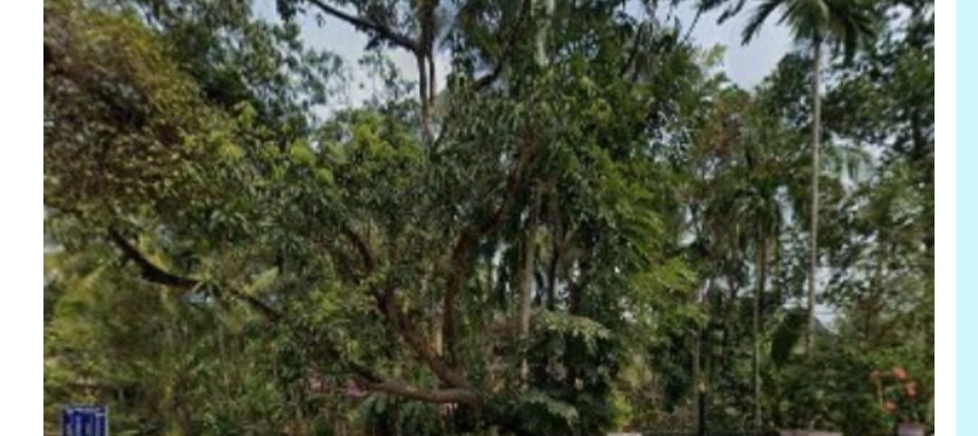 Plot for Sale in MARUTHOMKARA — photo 1