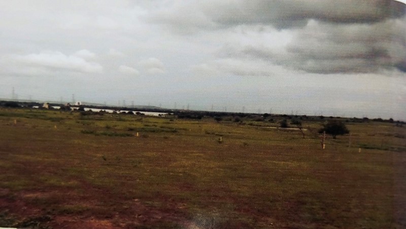 Plot for Sale in Paranda — photo 2