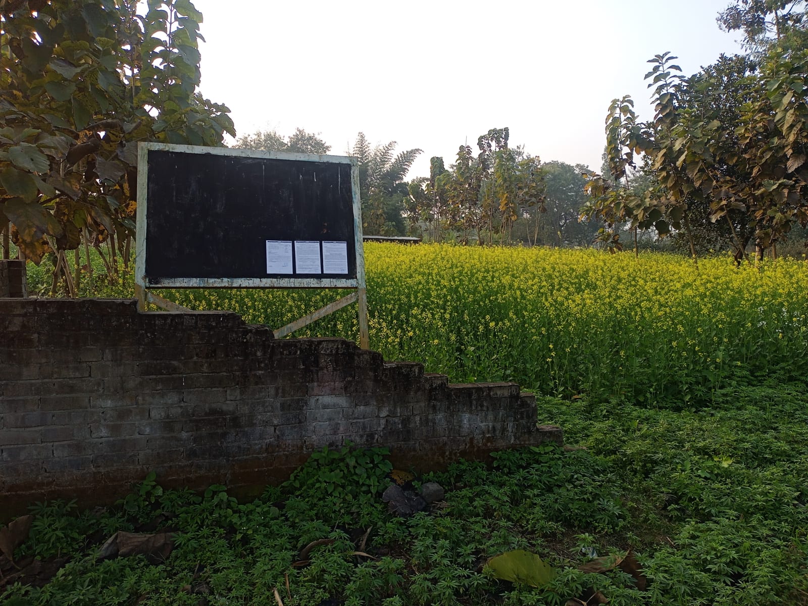 Plot for Sale in Pure Tiwari — photo 2