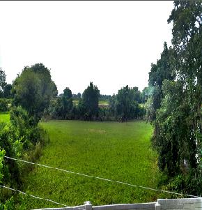 OPEN LAND for Sale in DATIA, Datia — photo 1