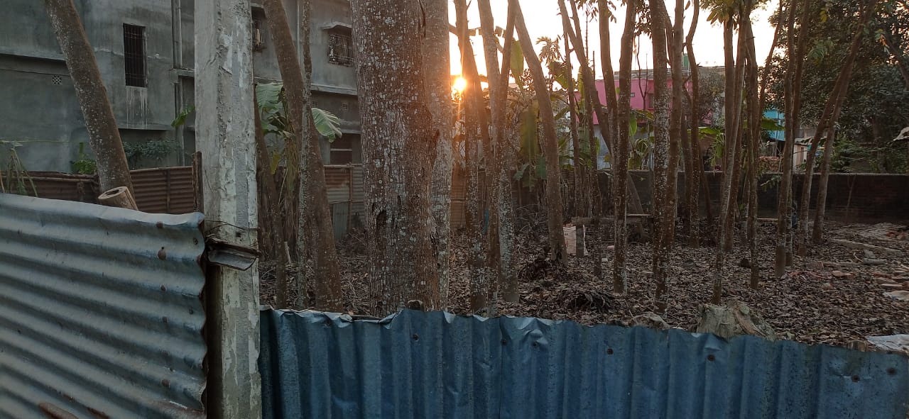 Plot for Sale in Dalkhola — photo 1