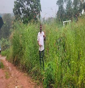 Plot for Sale in Punalur — photo 1