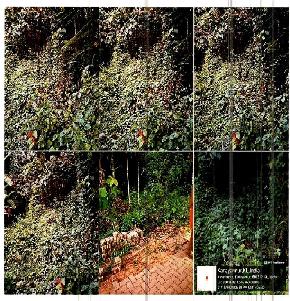 Plot for Sale in Kanayannur — photo 1