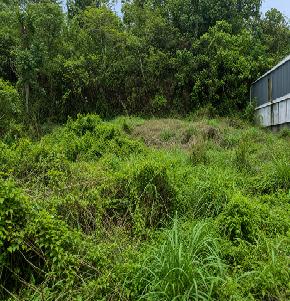 VACANT PLOT for Sale in Eramalloor — photo 1