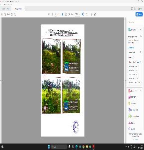 LAND for Sale in JAGATSINGPUR, Jagatsinghpur — photo 1