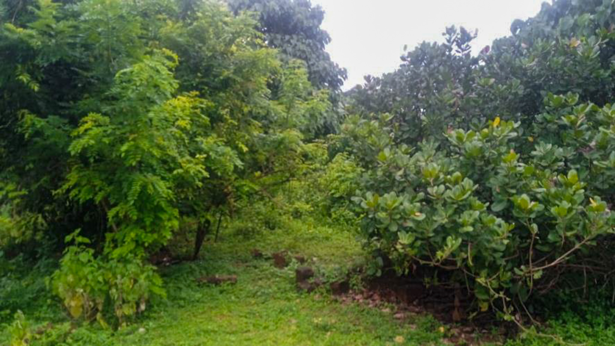 Individual House for Sale in Kasargod — photo 9