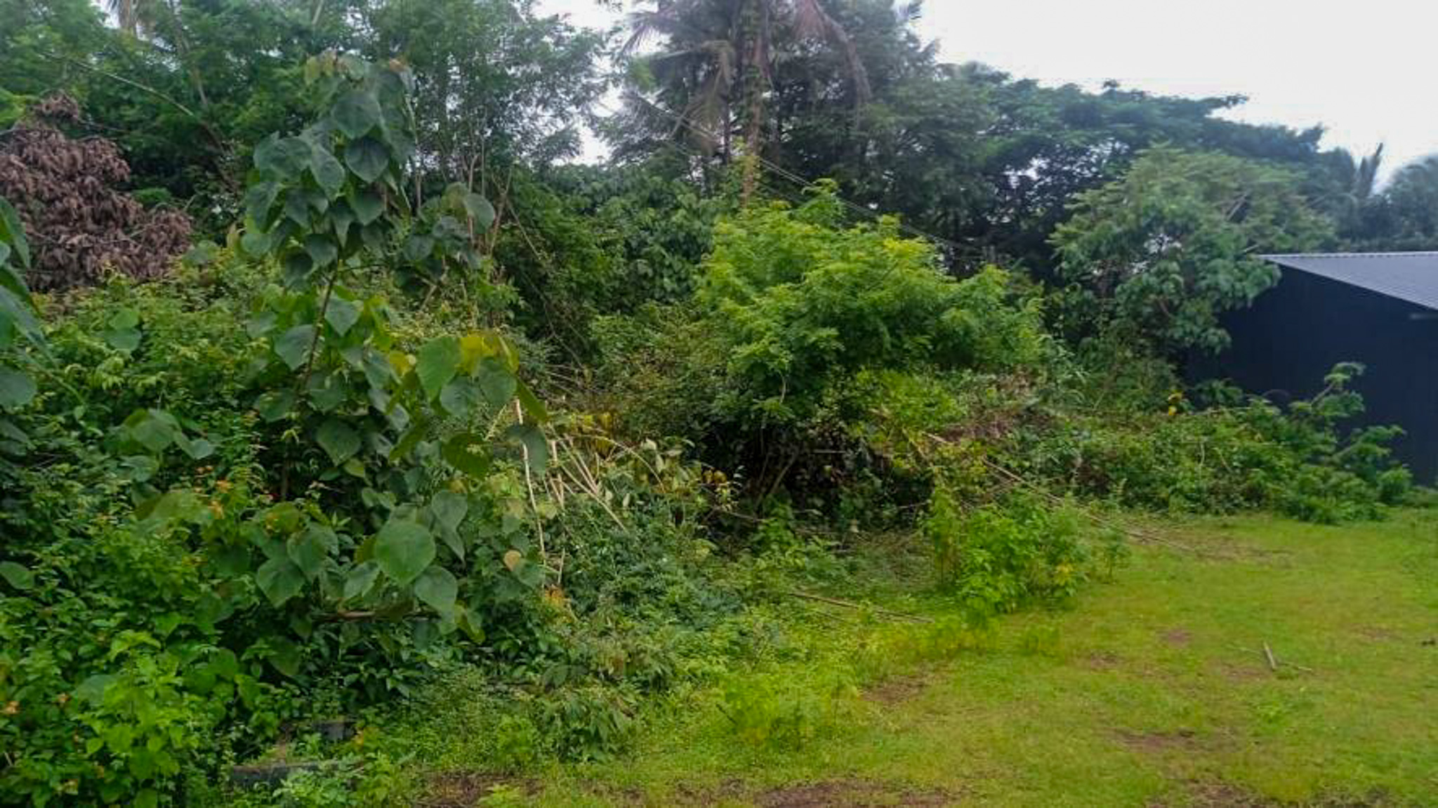 Individual House for Sale in Kasargod — photo 11