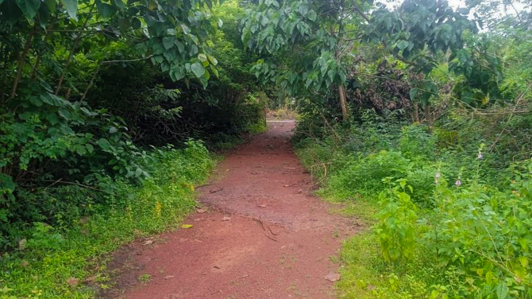 Individual House for Sale in Kasargod — photo 14