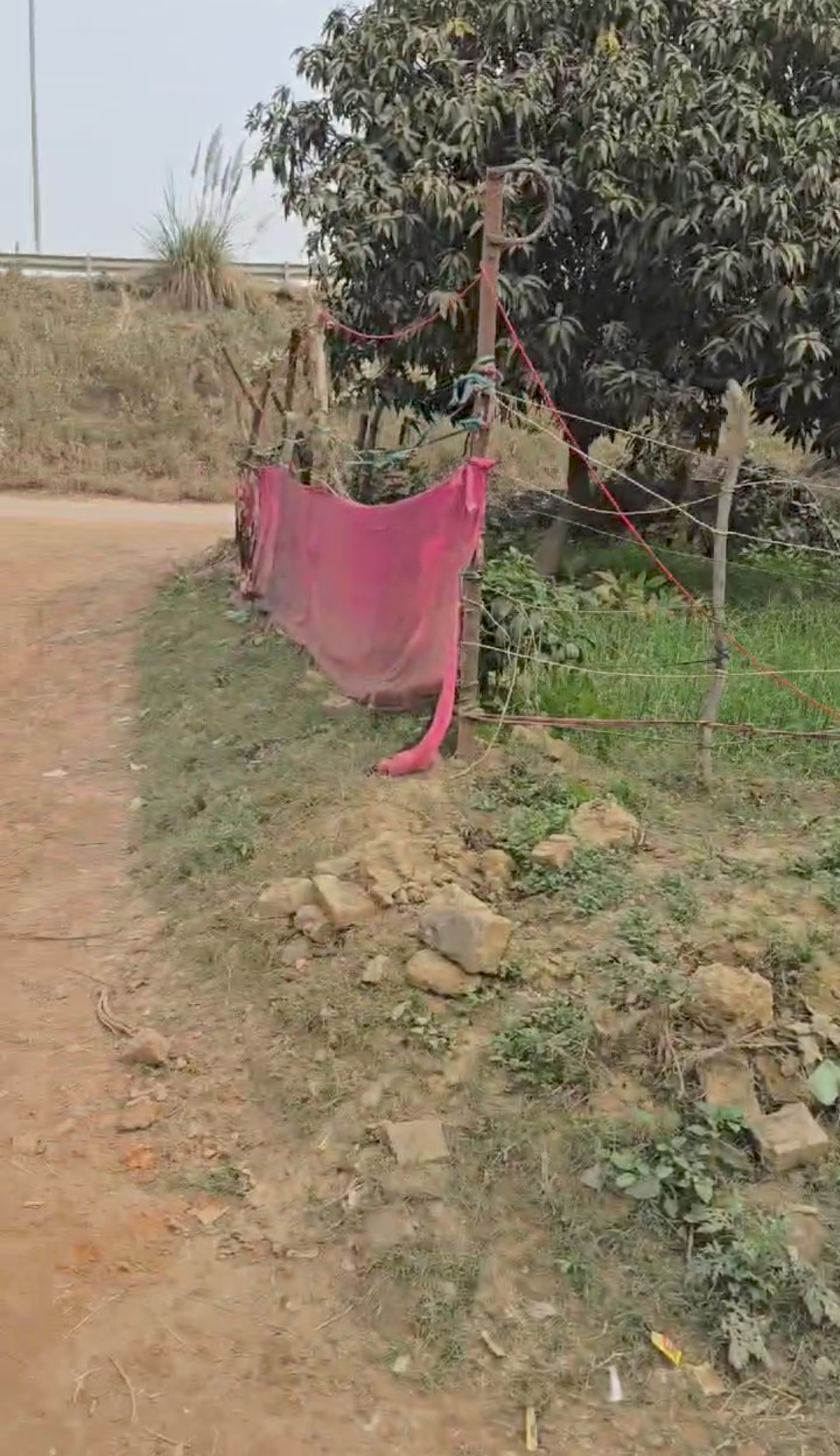 Industrial Plot for sale in Prayagraj — photo 2