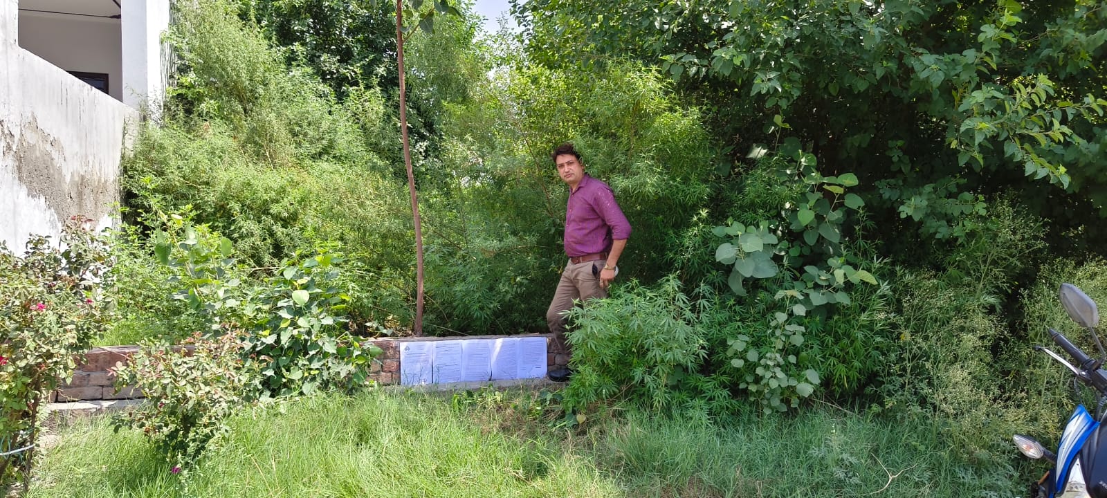 302.5 square yard Plot for sale in Nakodar