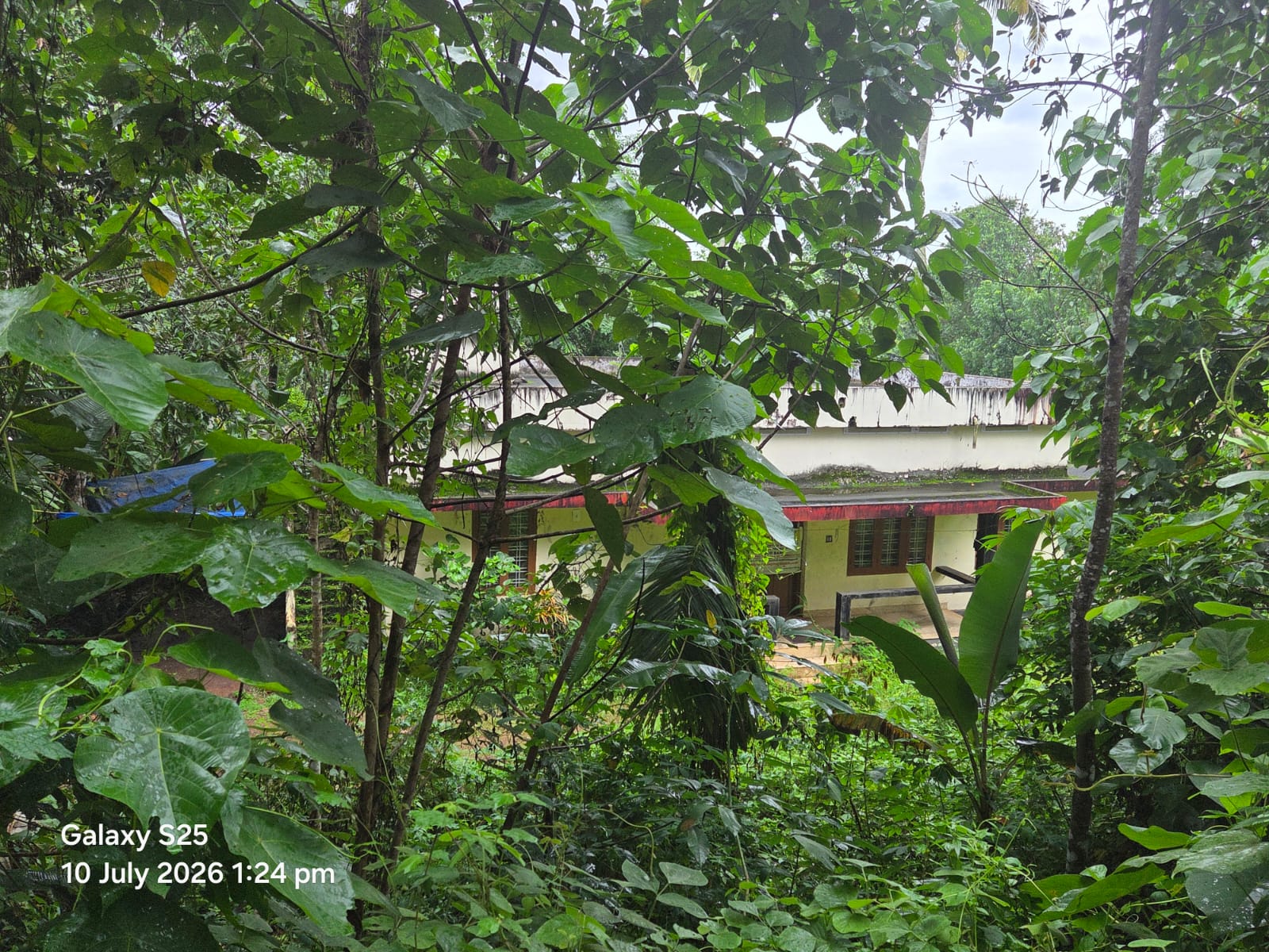 1200 square feet Individual House for sale in Edakkattuvayal Amballoor — photo 2