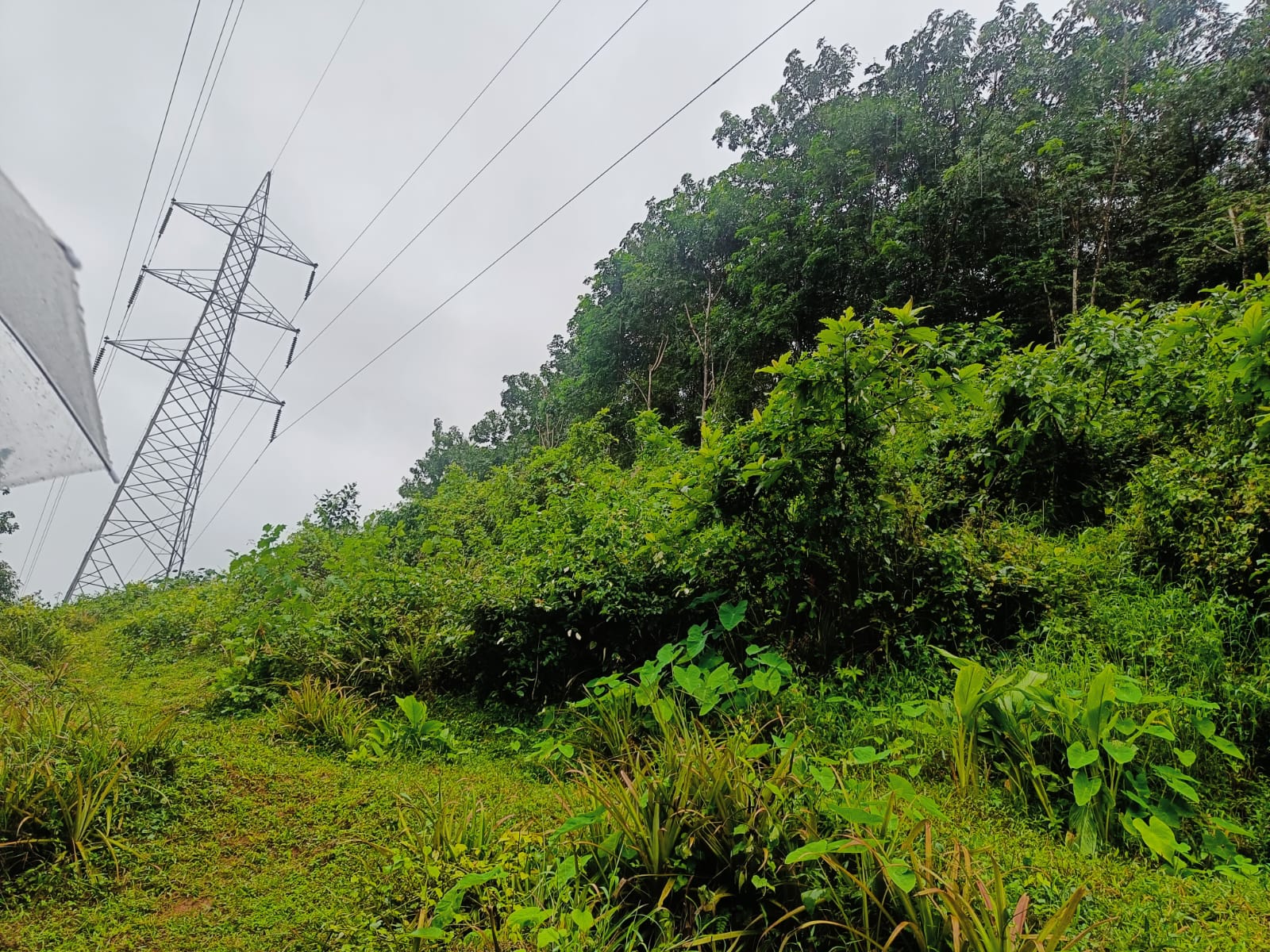 Plot for sale in Muvattupuzha — photo 2