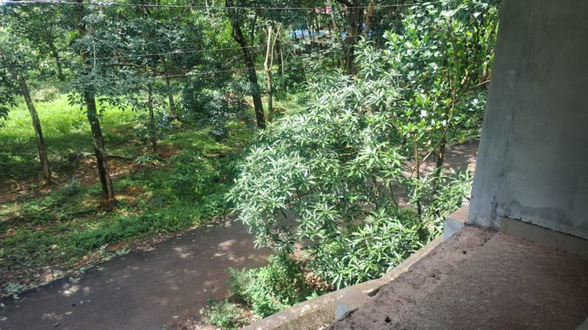 Individual House for sale in CHIRAYINKEEZHU Alamcode — photo 2