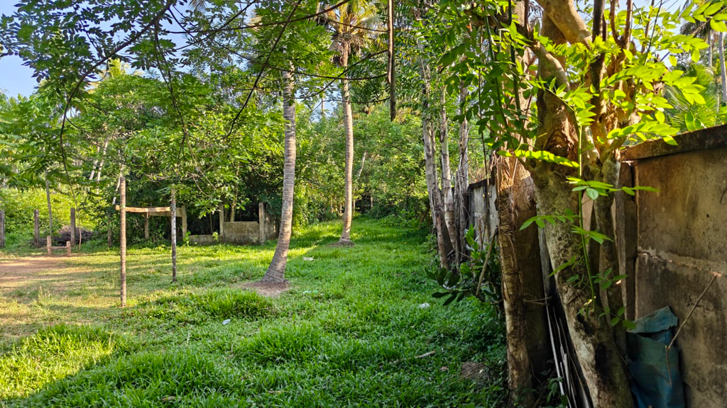 Plot for sale in Koovappady — photo 4
