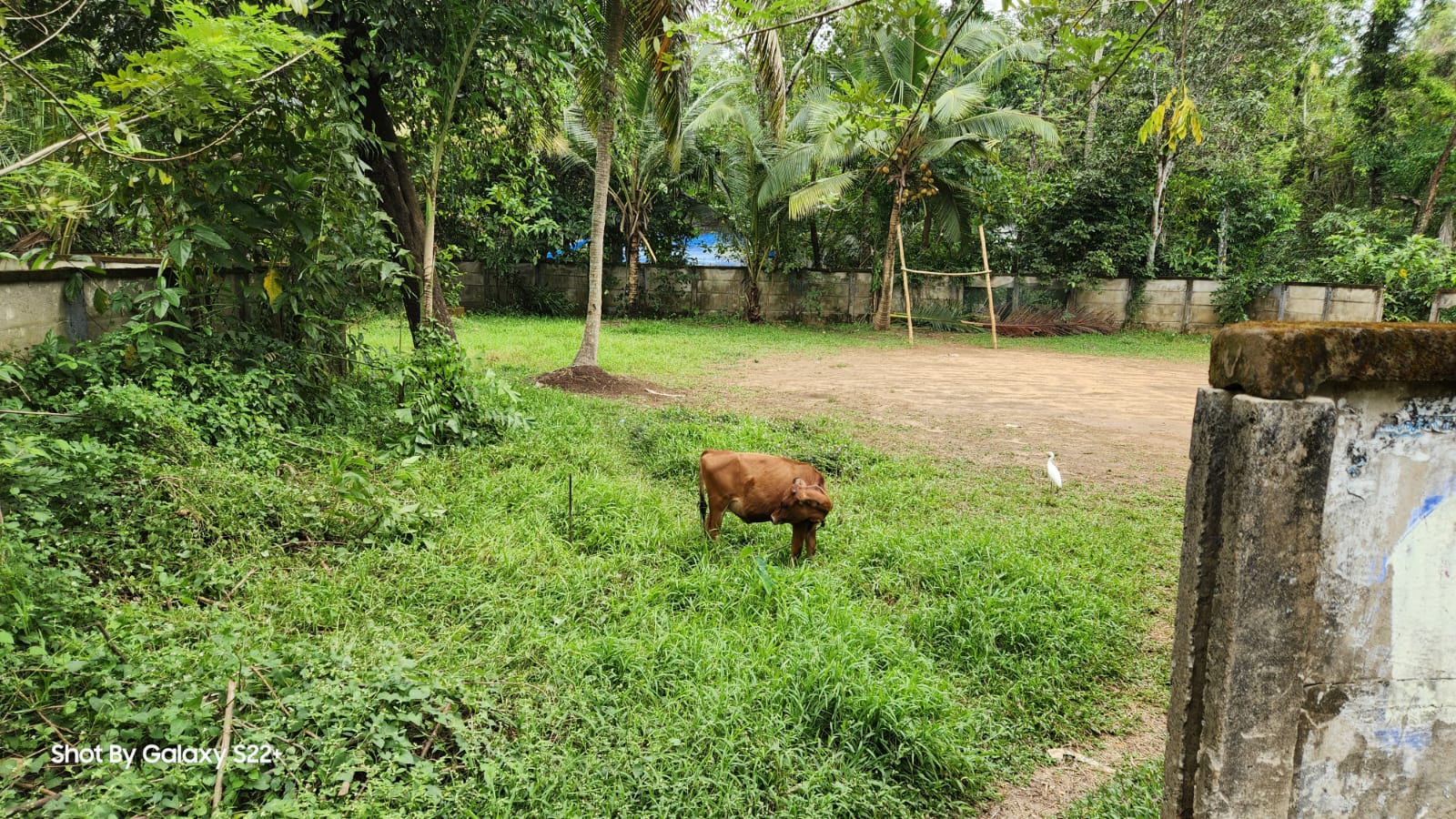 Plot for sale in Koovappady — photo 1