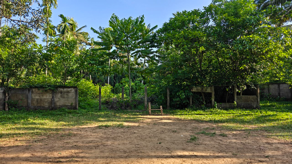 Plot for sale in Koovappady — photo 2