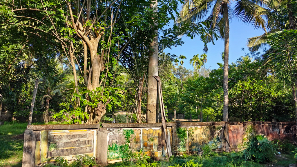 Plot for sale in Koovappady — photo 7