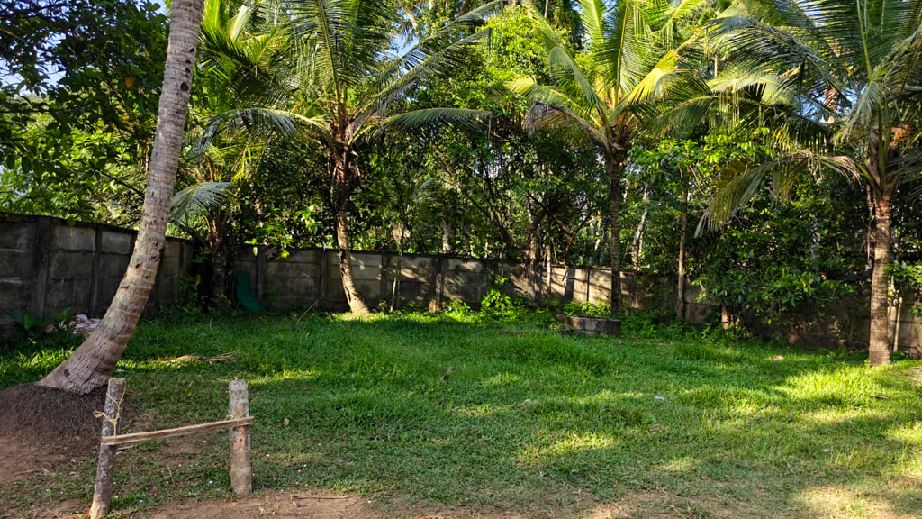 Plot for sale in Koovappady — photo 3