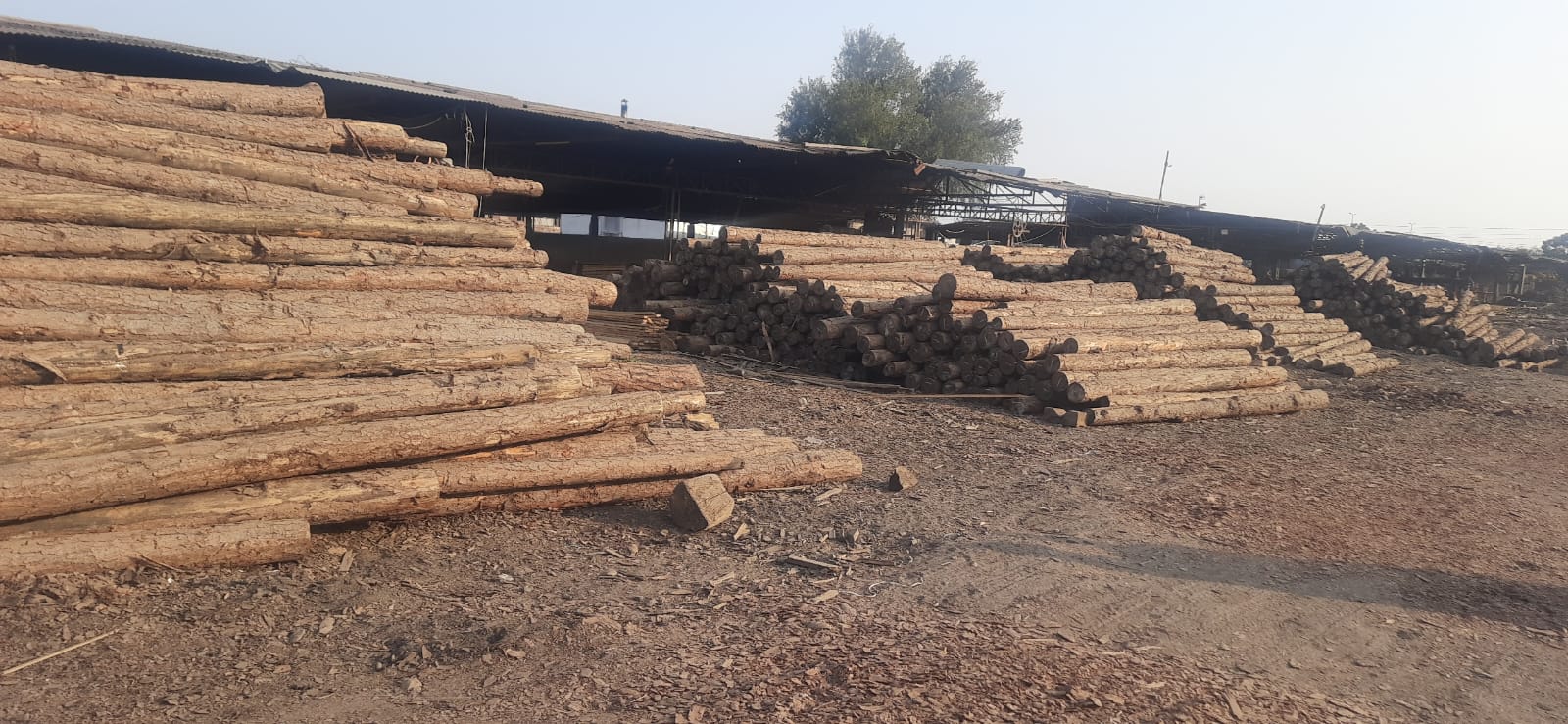 12439 square meter Industrial Plot with Factory Building for sale in ANJAR Anjar — photo 1
