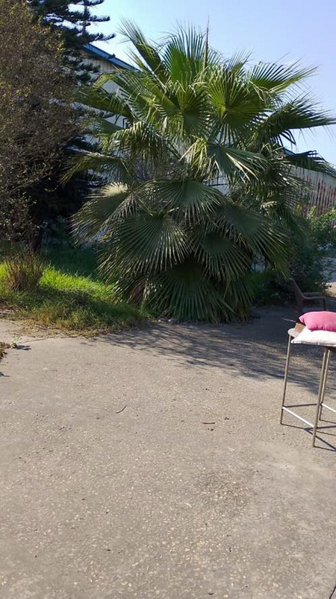 7082 square meter Plant and Machinery for sale in Samba, Jammu Samba — photo 3
