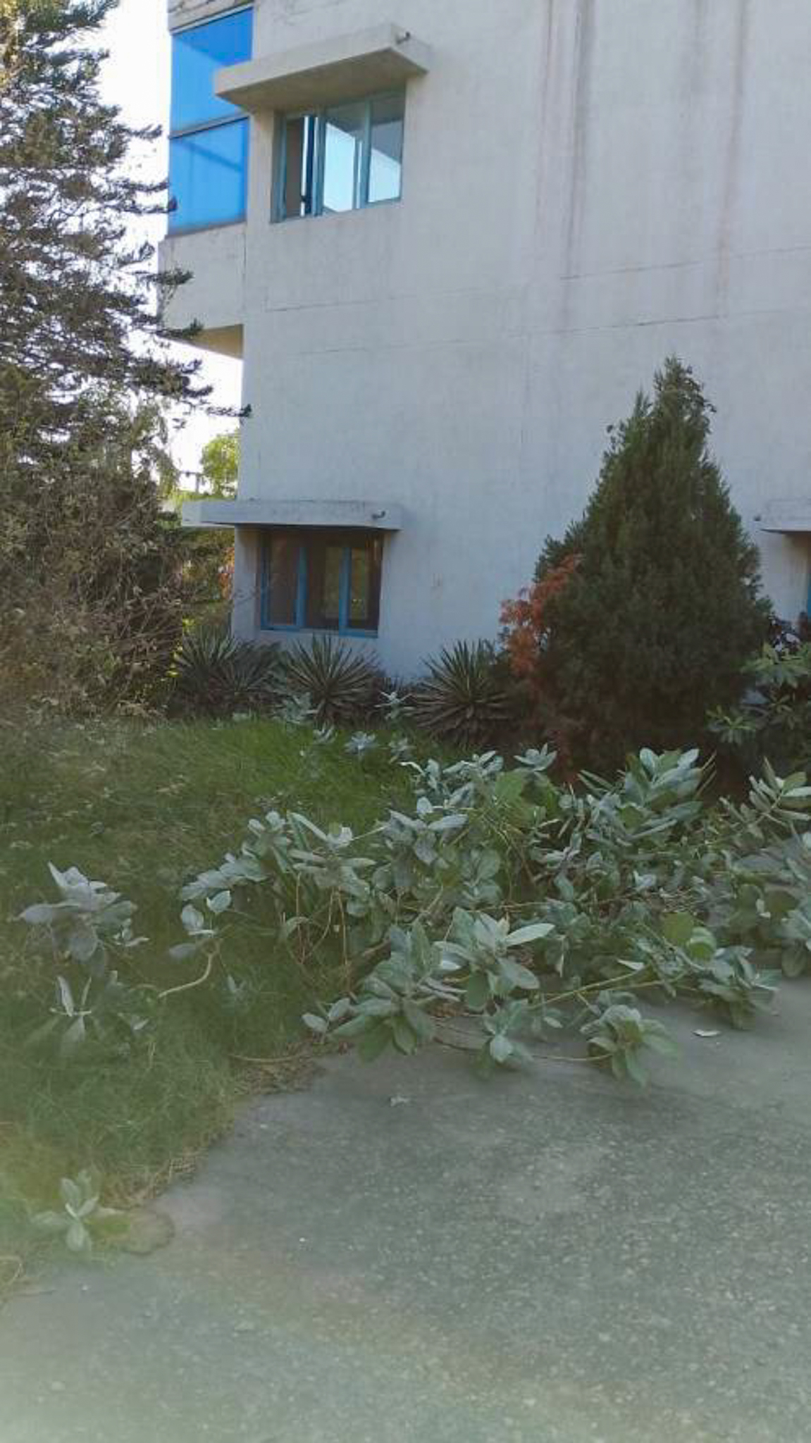 7082 square meter Plant and Machinery for sale in Samba, Jammu Samba — photo 5