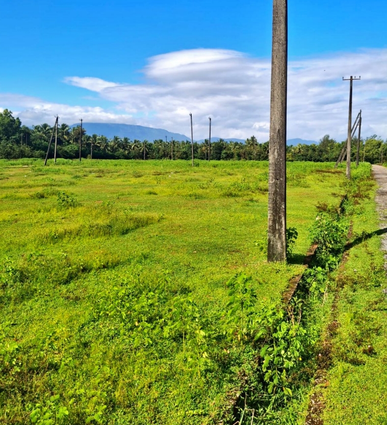 Plot for sale in kambadakone village baindoor — photo 4