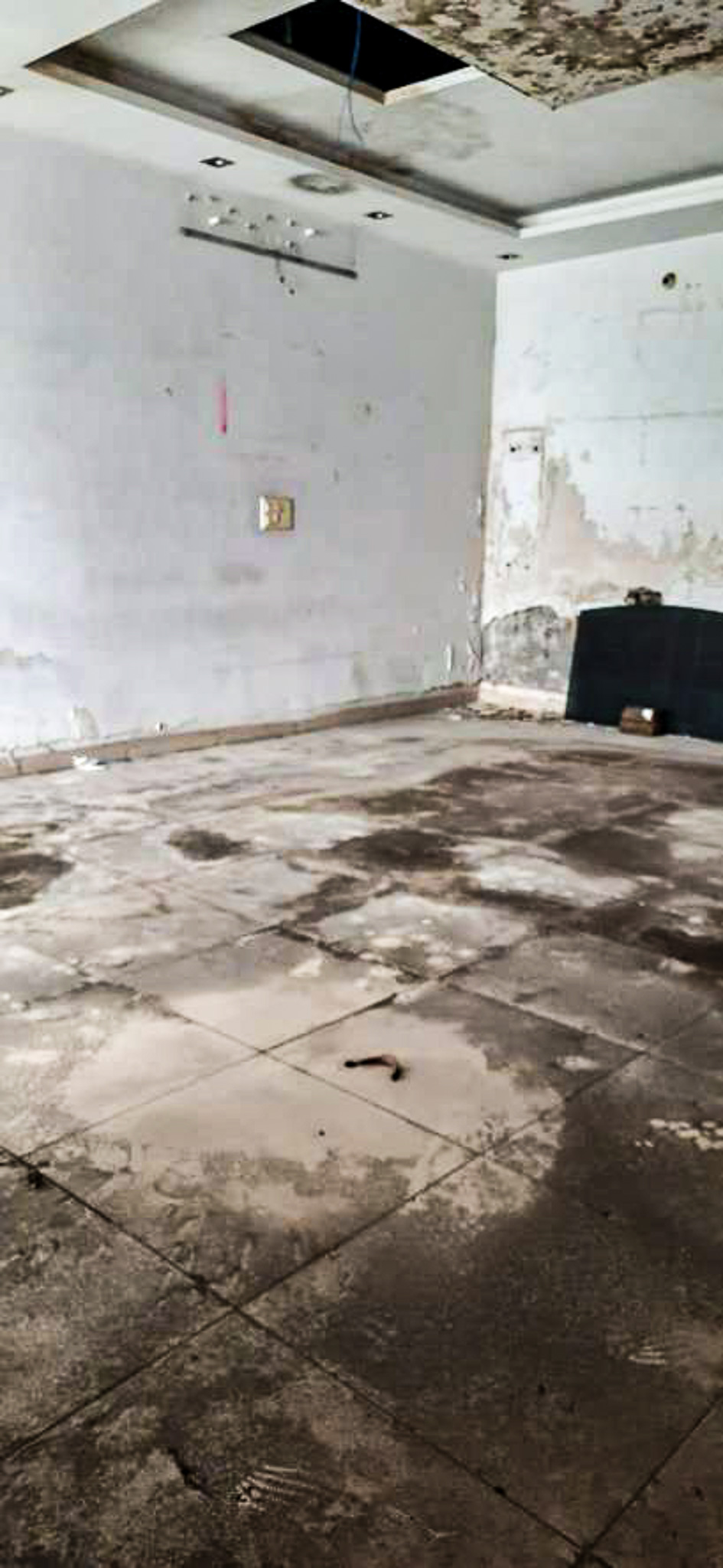 Individual House for sale in HARGOBINDPURA VAKIA SHERPUR KALAN Ludhiana — photo 16