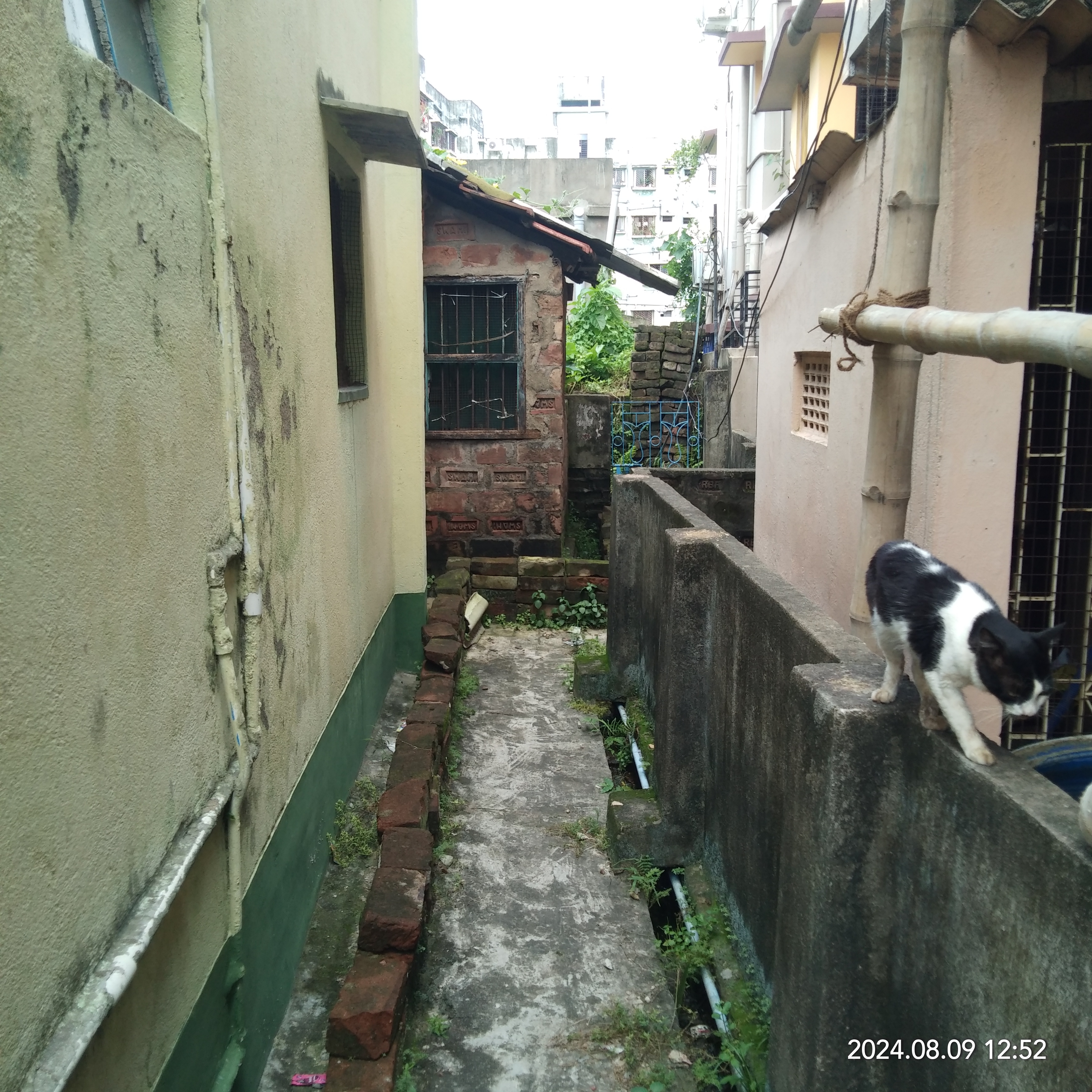 Plot for sale in WARD NO 9 OF RISHRA MUNICIPALITY Konnagar — photo 6