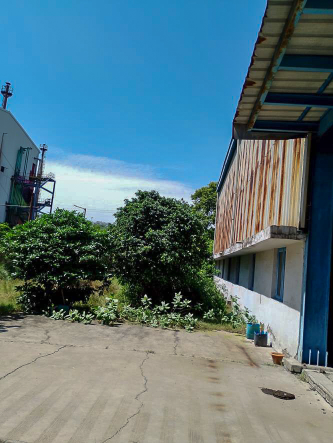 Shed with Plant and Machinery for sale in Samba — photo 15