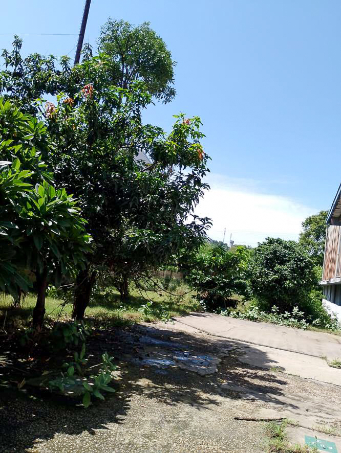 Shed with Plant and Machinery for sale in Samba — photo 16